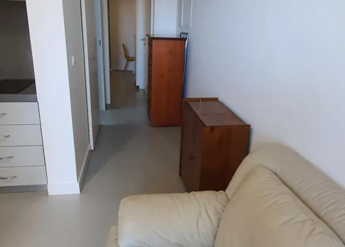 Arrenquinha * São Vicente Ferreira